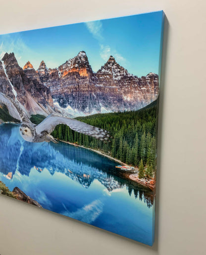 Toile d'art animalier - Harfang des neiges à Banff - Œuvre imprimée