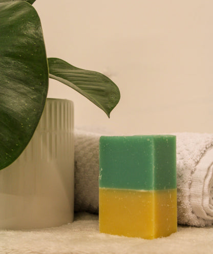 Bar soap - Coconut Lime