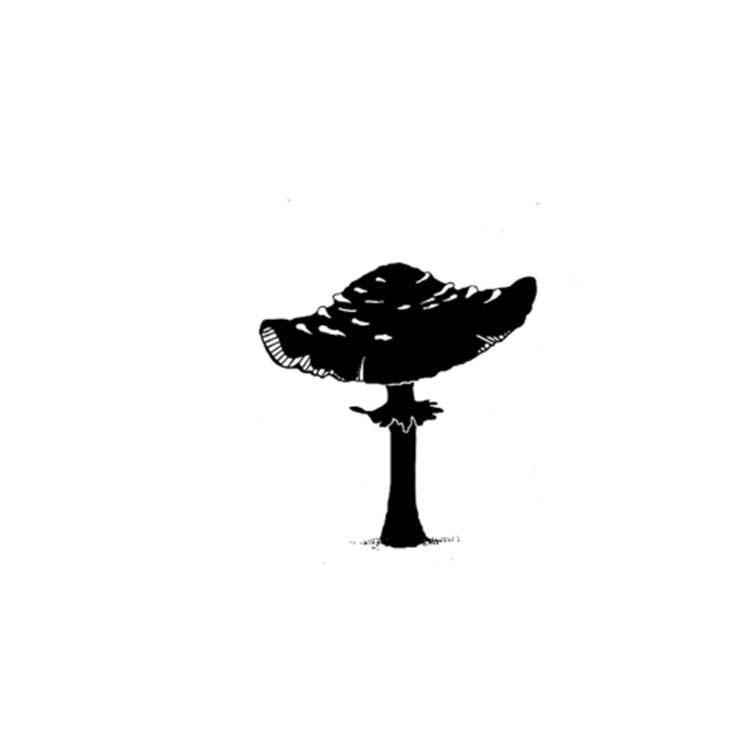 Lavinia Stamp - Miniature Champignon