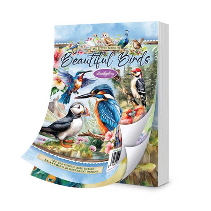 Le petit livre des beaux oiseaux
