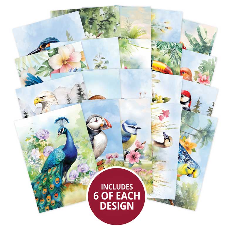 Le petit livre des beaux oiseaux