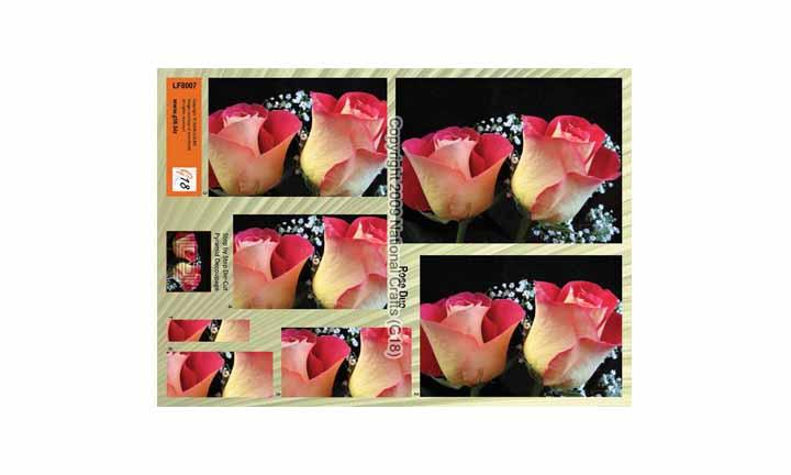 Grand Format - Duo de Roses