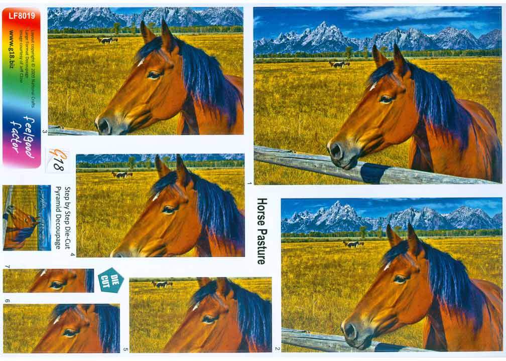 Grand format - Pâturage de chevaux
