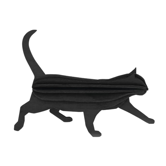 Chat Lovi