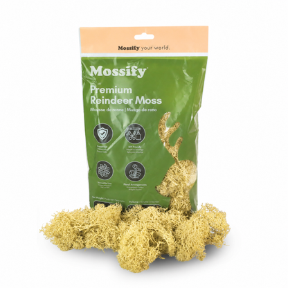 Premium Reindeer Moss Bag