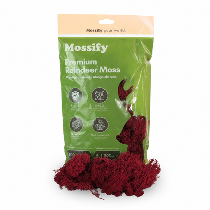 Premium Reindeer Moss Bag