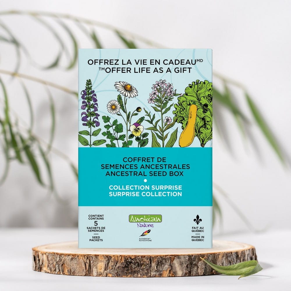 Coffret de semences surprise | Découvertes du jardin