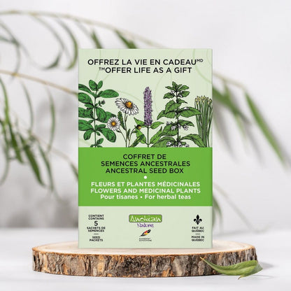 Coffret de semences de fleurs et plantes médicinales | Pour tisanes et plus