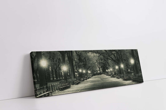 Le Mall à Central Park 72" x 24"