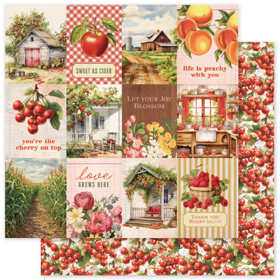 Meadowbrook Farm Papier 30 x 30 cm (Paquet de 12 en vrac) 35022