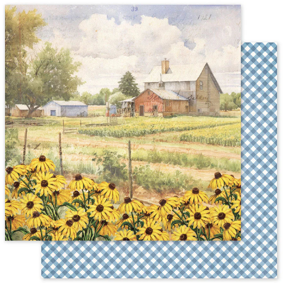 Meadowbrook Farm B 12 x 12 Paper (12 pc Bulk Pack) 35025