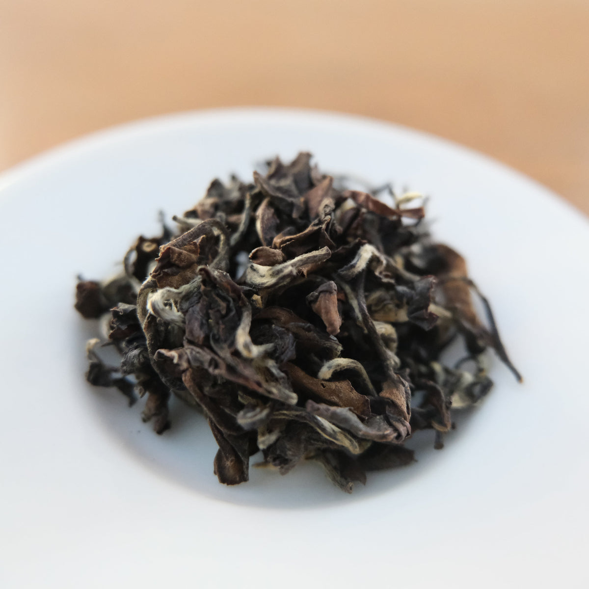OOLONG MORDU PAR LES INSECTES - MYSELF SURRENDERED