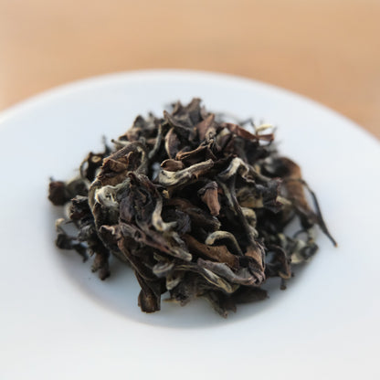 OOLONG MORDU PAR LES INSECTES - MYSELF SURRENDERED