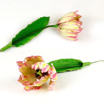 Flower Pro Peony / Tulip Silicone Mould and Veiner