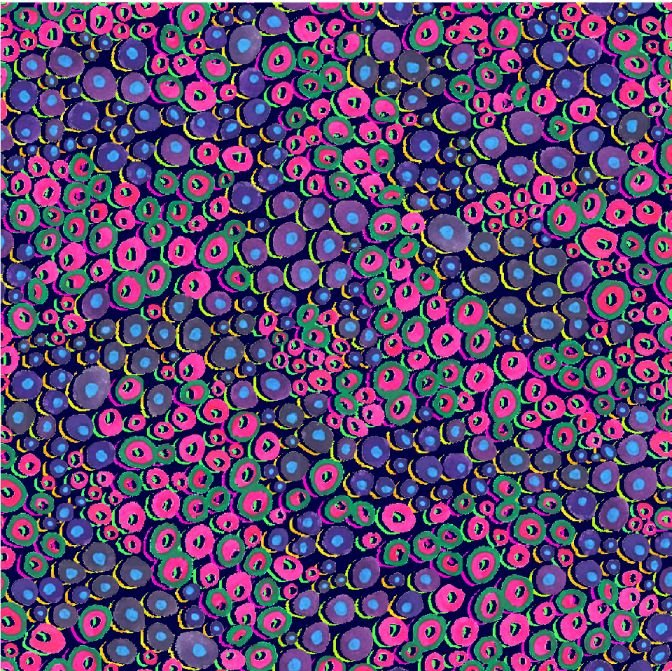 Oasis Fabrics - Night Bloom  - Flower Dots -  Black Fabric  59-5511