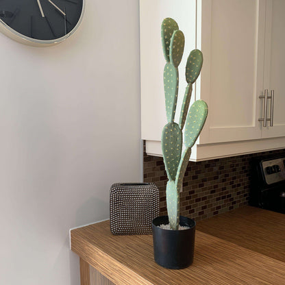 Plante en pot artificielle Penka Cactus 66 cm