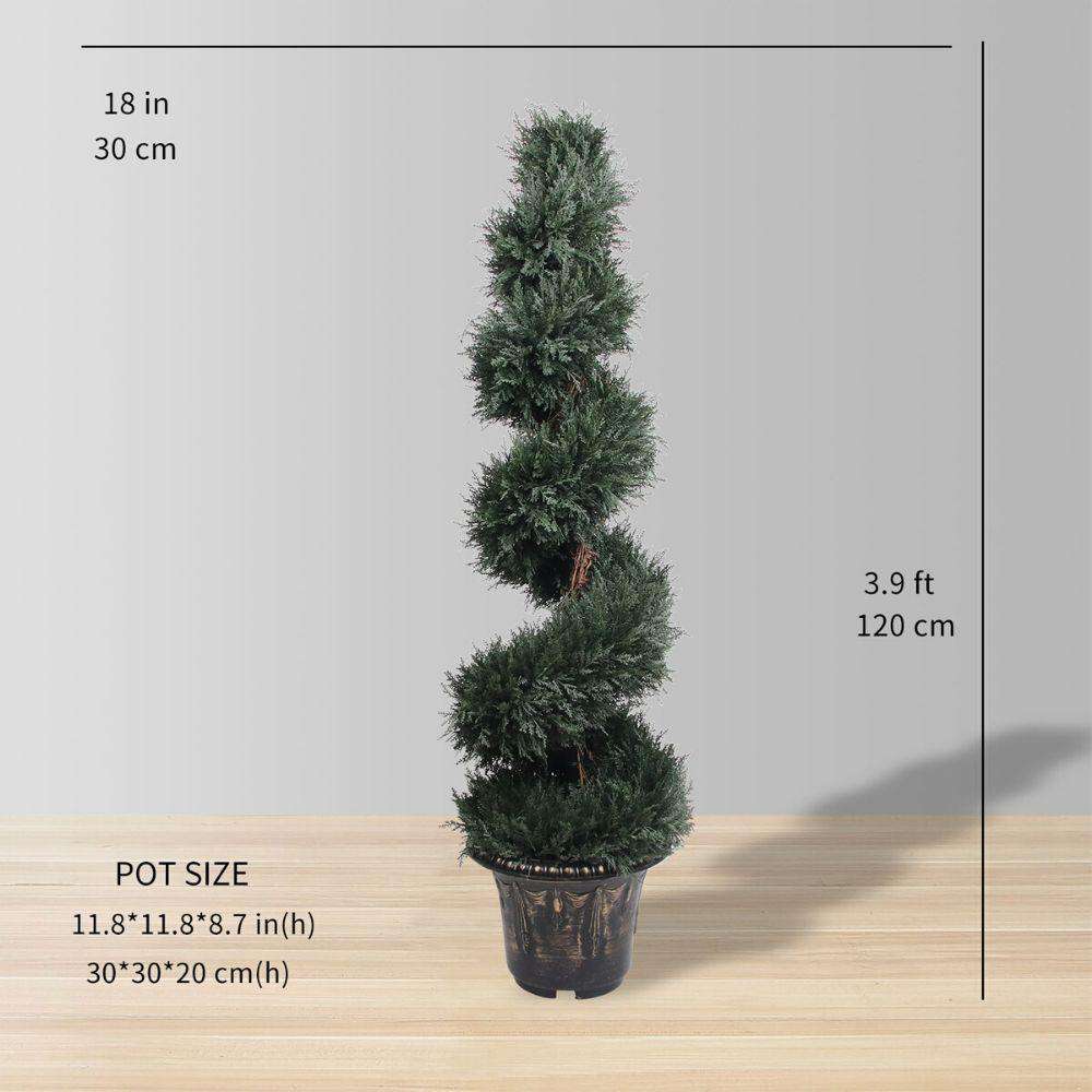 Plante d'Artifice Perth en Buis Spirale en Pot (Plusieurs Tailles)
