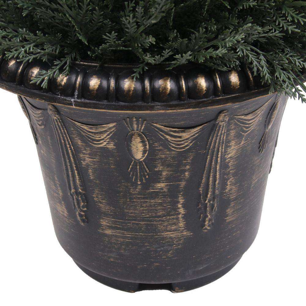 Plante d'Artifice Perth en Buis Spirale en Pot (Plusieurs Tailles)