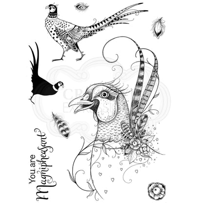Set de Tampons Transparents Magnipheasant A5