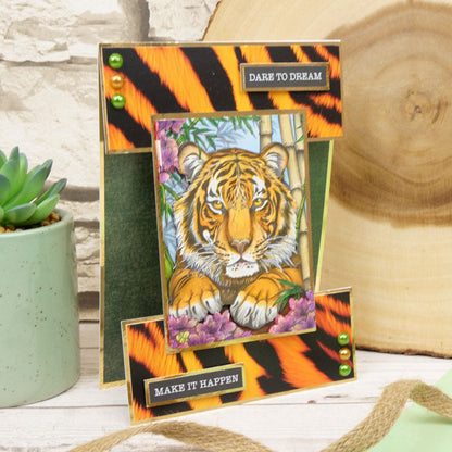 Blocs de coloriage de poche - Animal Planet