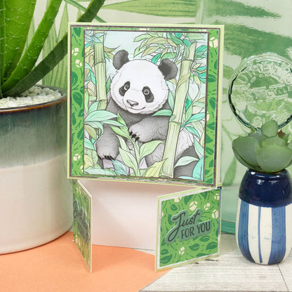 Blocs de coloriage de poche - Animal Planet