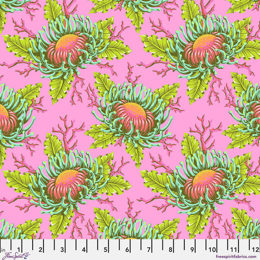 Tula Pink - Floral Reef - Friends & Anemones - Coralline - PWTP265.CORALLINE