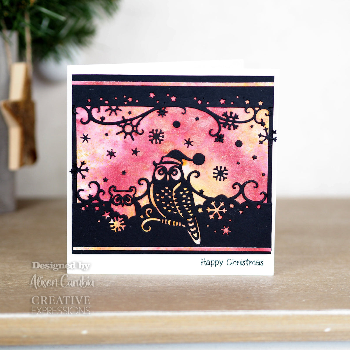 Matrice de découpe double liseré Creative Expressions Paper Cuts - Chouettes des neiges