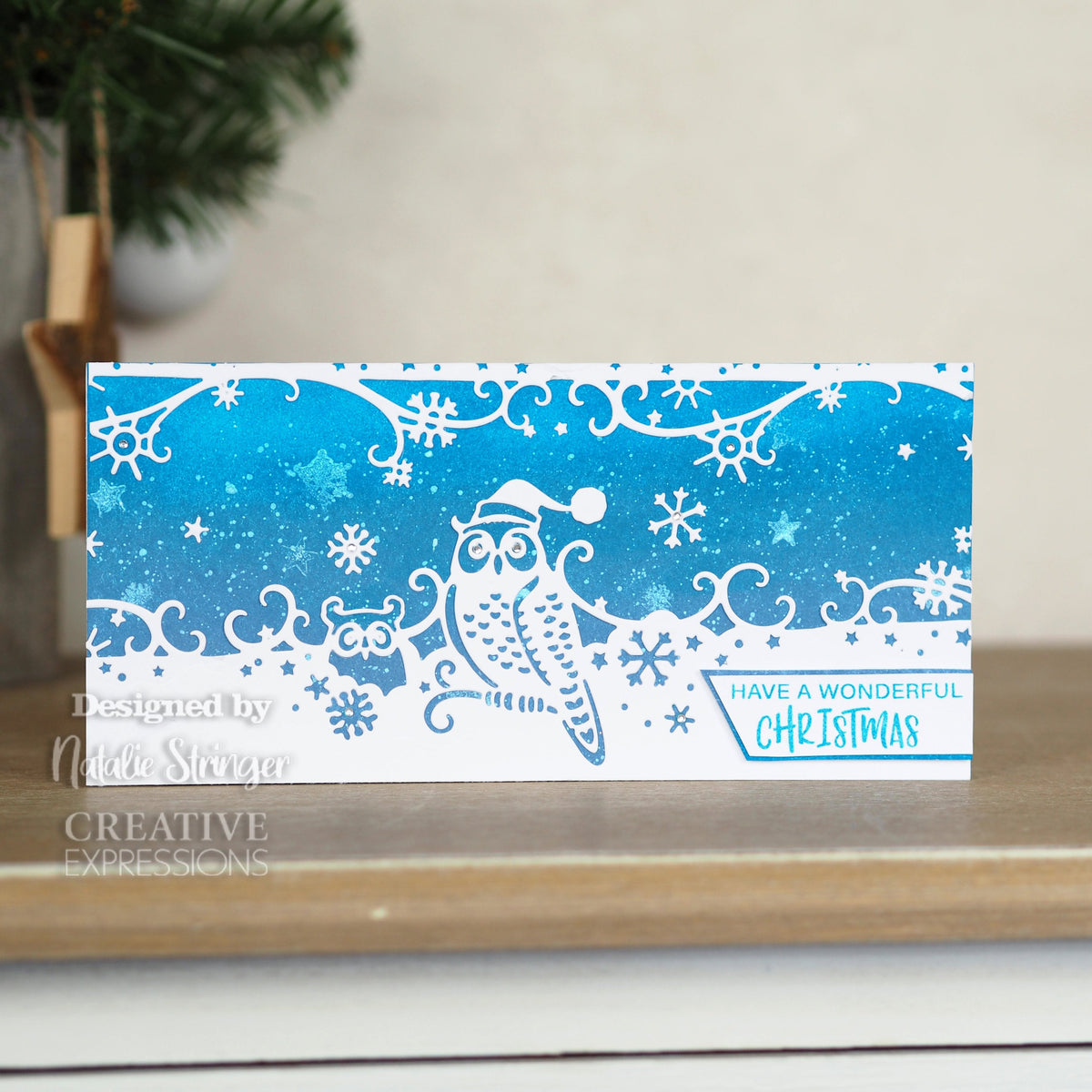 Matrice de découpe double liseré Creative Expressions Paper Cuts - Chouettes des neiges