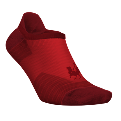 Performance Socks - Short