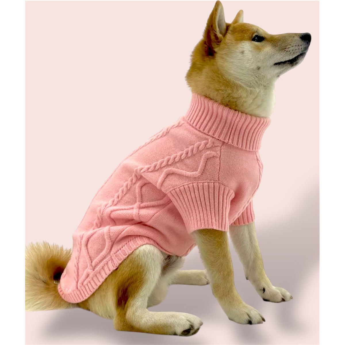 Pink Sweater with D-ring