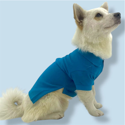 Chemise en coton sarcelle foncé