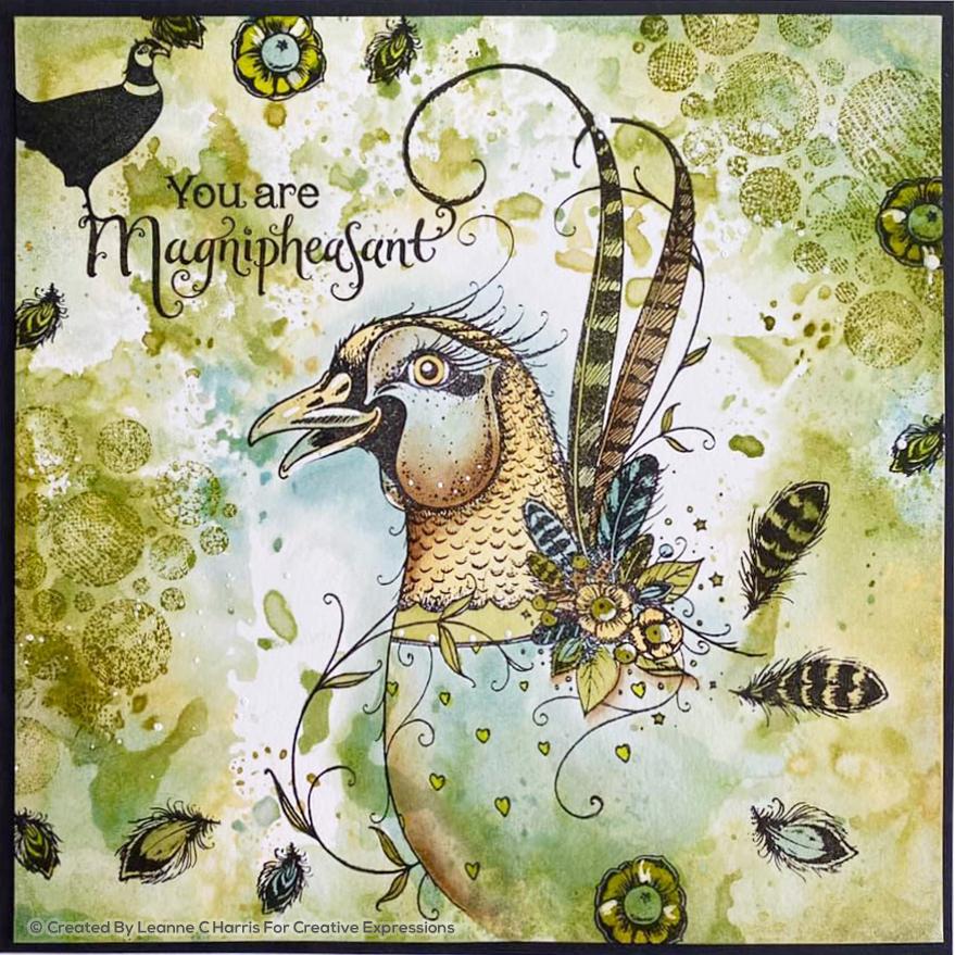 Set de Tampons Transparents Magnipheasant A5