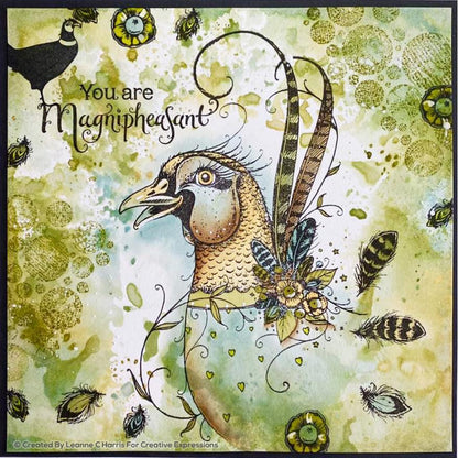 Set de Tampons Transparents Magnipheasant A5