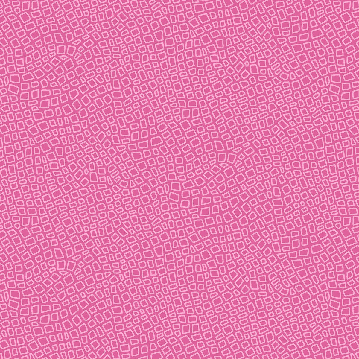 Sarah Maxwell - Carousel - Pink Boxes - R470274D-PINK