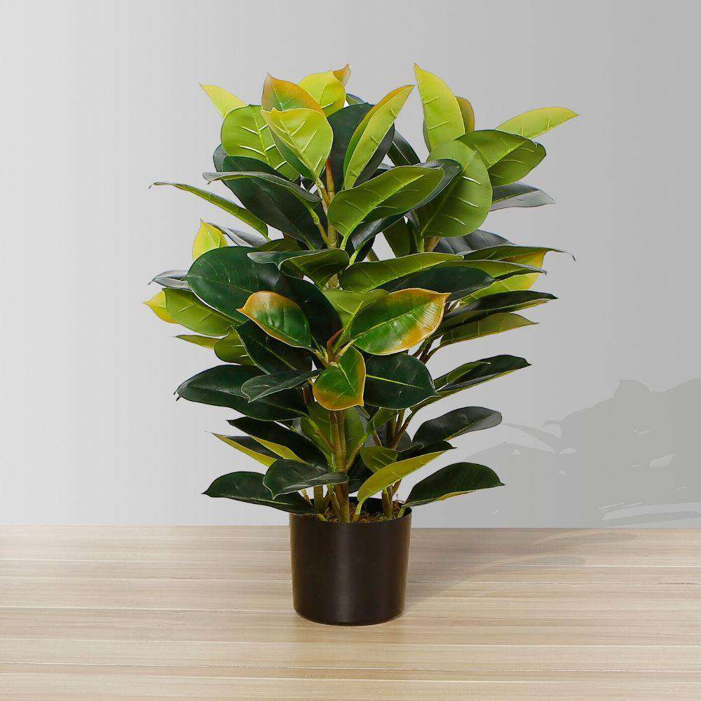 Plante en pot Rubi en caoutchouc artificiel 2,5 pi