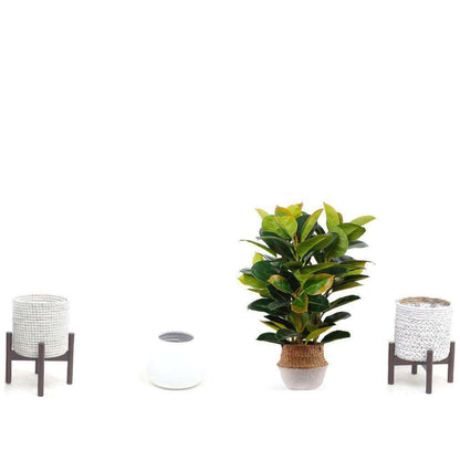 Plante en pot Rubi en caoutchouc artificiel 2,5 pi