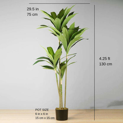 Samy Dracaena Fragrans Artificiel en Pot 129,5 cm