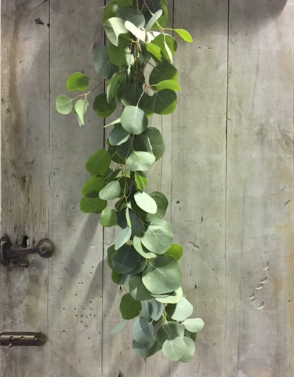 Chemin de table guirlande fraîche - Eucalyptus, Gypsophile, Ruscus