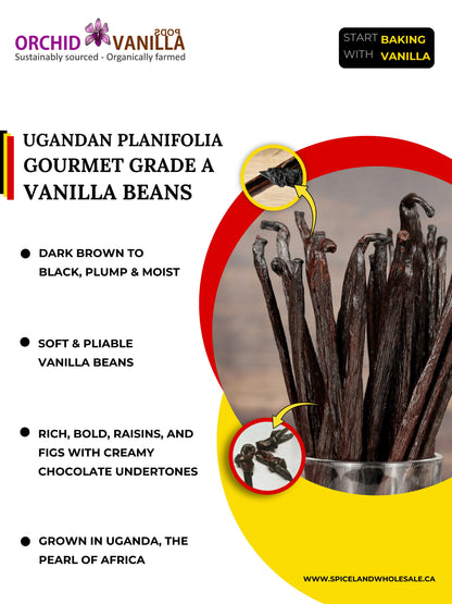 Ugandan Vanilla Beans Grade-A Gourmet <br>For Extract And Baking<BR>By Pound