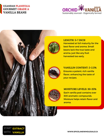 Ugandan Vanilla Beans Grade-A Gourmet <br>For Extract And Baking<BR>By Ounce