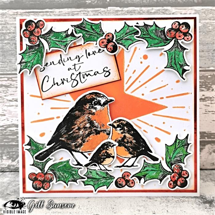Visible Image Christmas Robin - Set de tampons A6