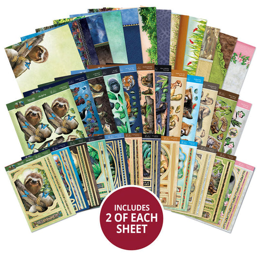 Collection Deco-Large "Into The Wild Designer"