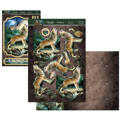 Kit Déco-Large Into The Wild - Un Monde Sauvage