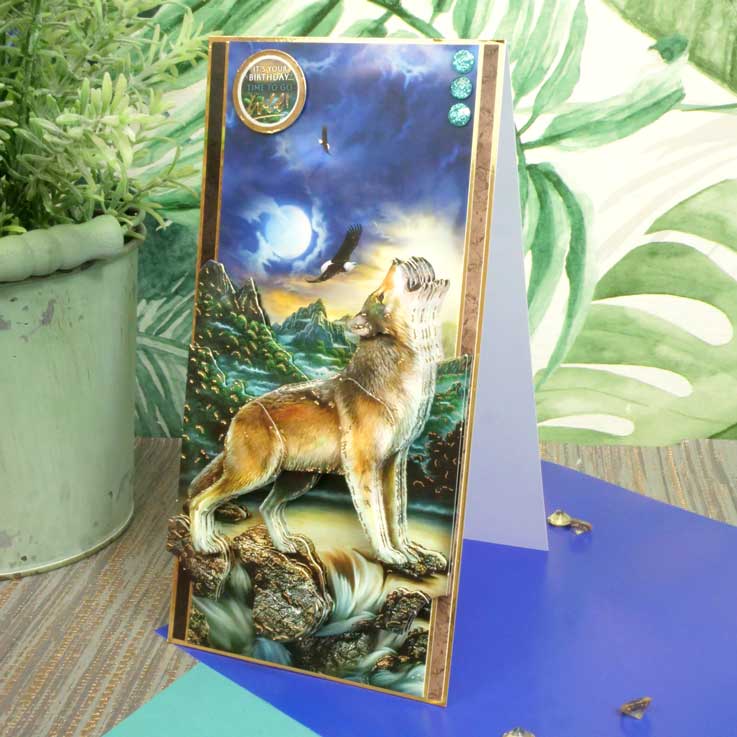 Kit Déco-Large Into The Wild - Un Monde Sauvage