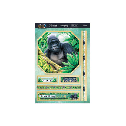 Kit Déco-Large Into The Wild - Go Ape
