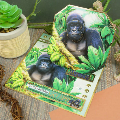 Kit Déco-Large Into The Wild - Go Ape