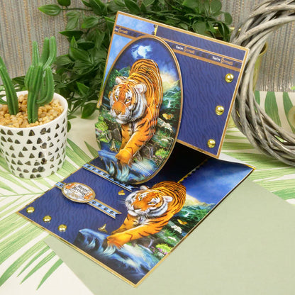 Into The Wild Deco-Large Set - Vas-y mon grand !