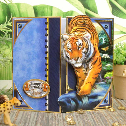 Into The Wild Deco-Large Set - Vas-y mon grand !