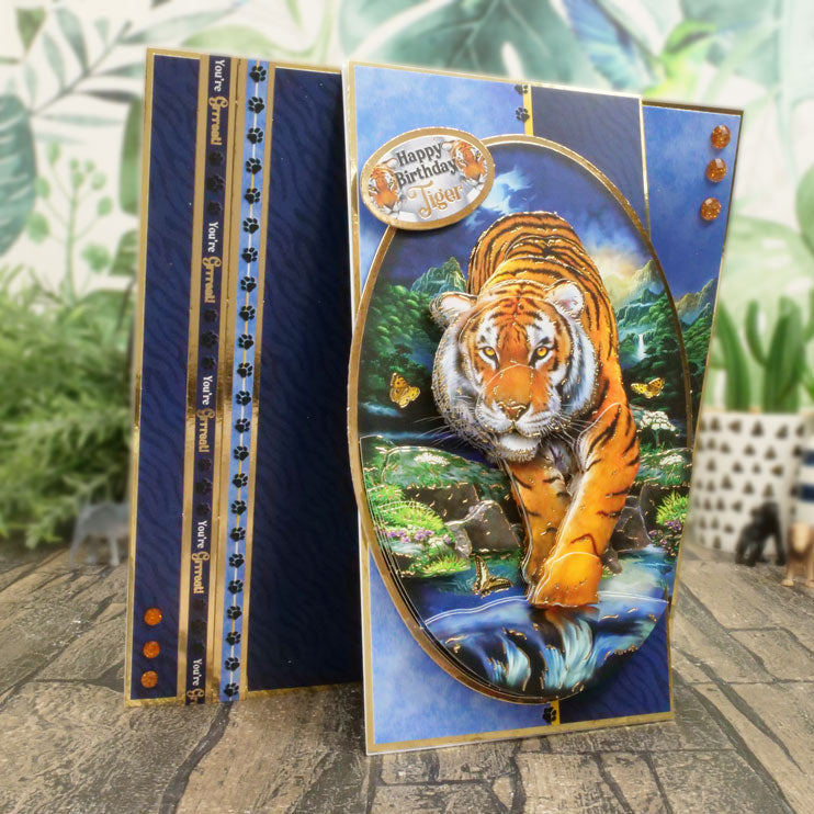 Into The Wild Deco-Large Set - Vas-y mon grand !