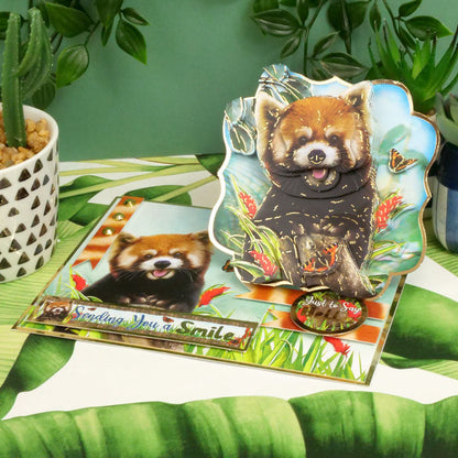 Into The Wild Deco-Large Set - Envoyer des Sourires